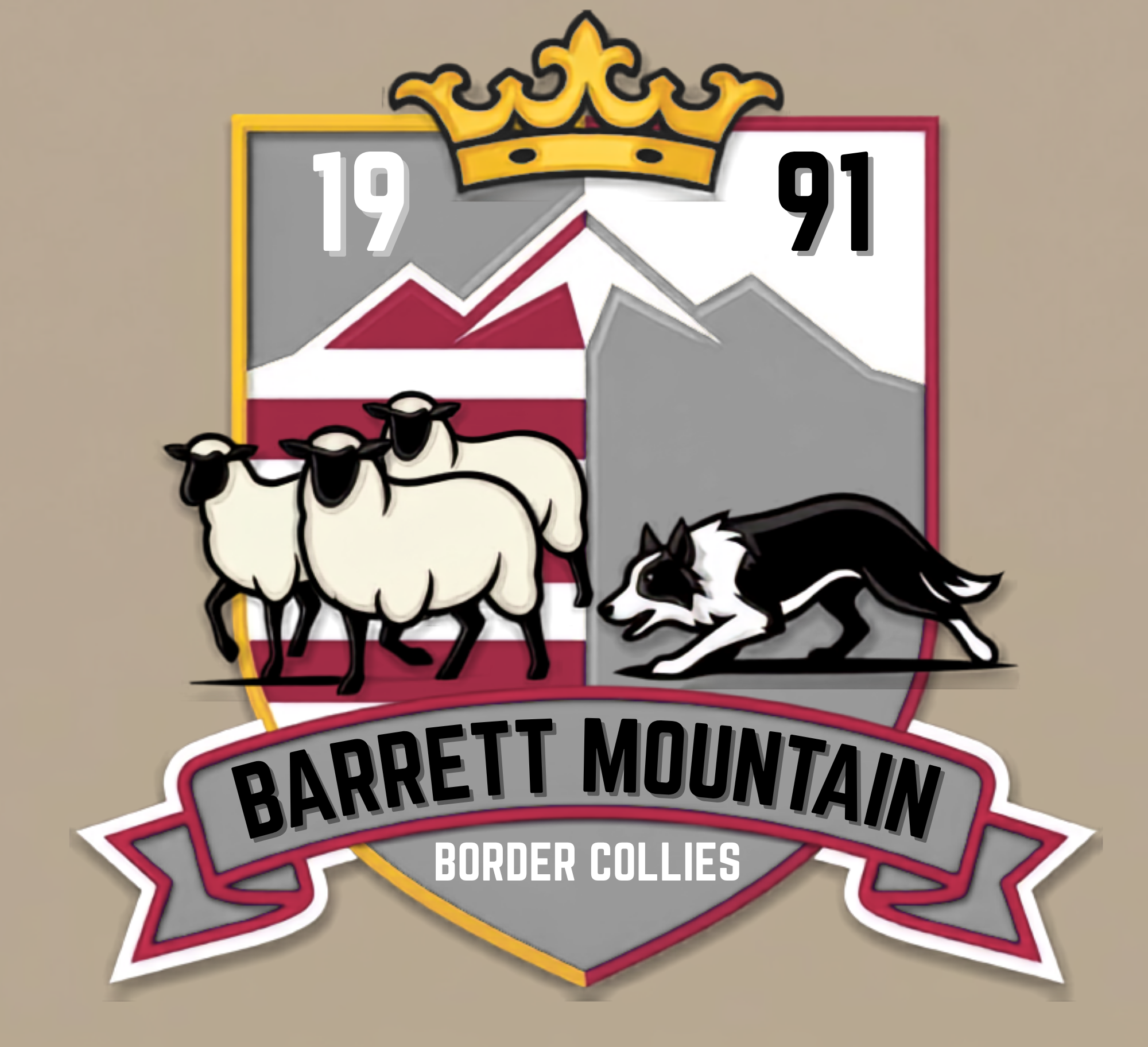 Barrett Mountain Border Collies